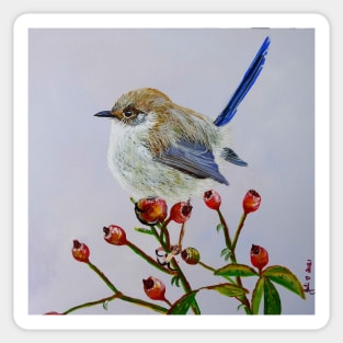 Little Wren on Rose Bush Sticker